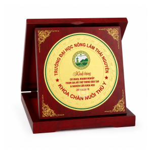 Alternative view of Biểu trưng lưu niệm cao cấp - 03126BT